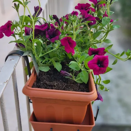 Cà Fiamma 2 Apartamento *