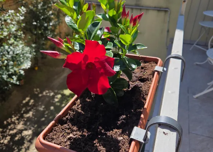 Cà Fiamma 2 * Casale Monferrato